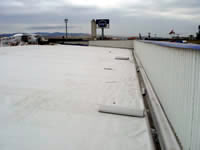 Polyfin 3020 ve Polyfin 4230 FPO Geomembran