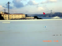 Polyfin 3020 FPO Geomembran