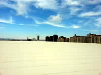 Polyfin 3020 FPO Geomembran